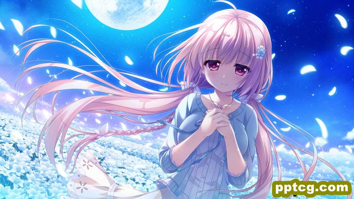 性感可爱二次元动漫美女