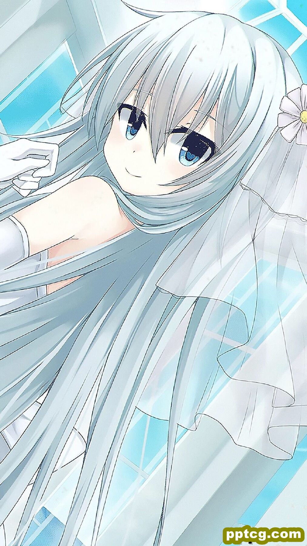 二次元动漫美少女图片手机壁纸