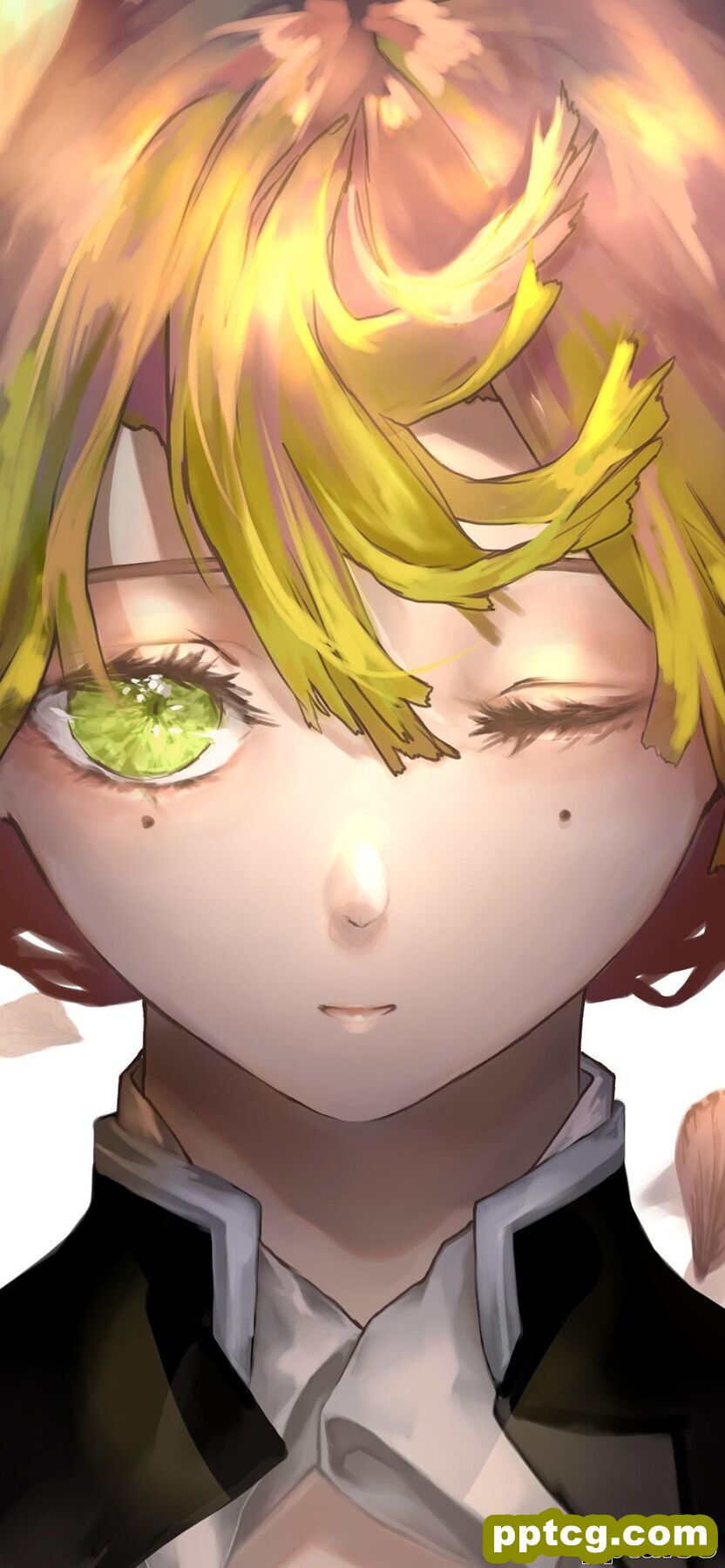 鬼灭之刃人物插画高清手机壁纸