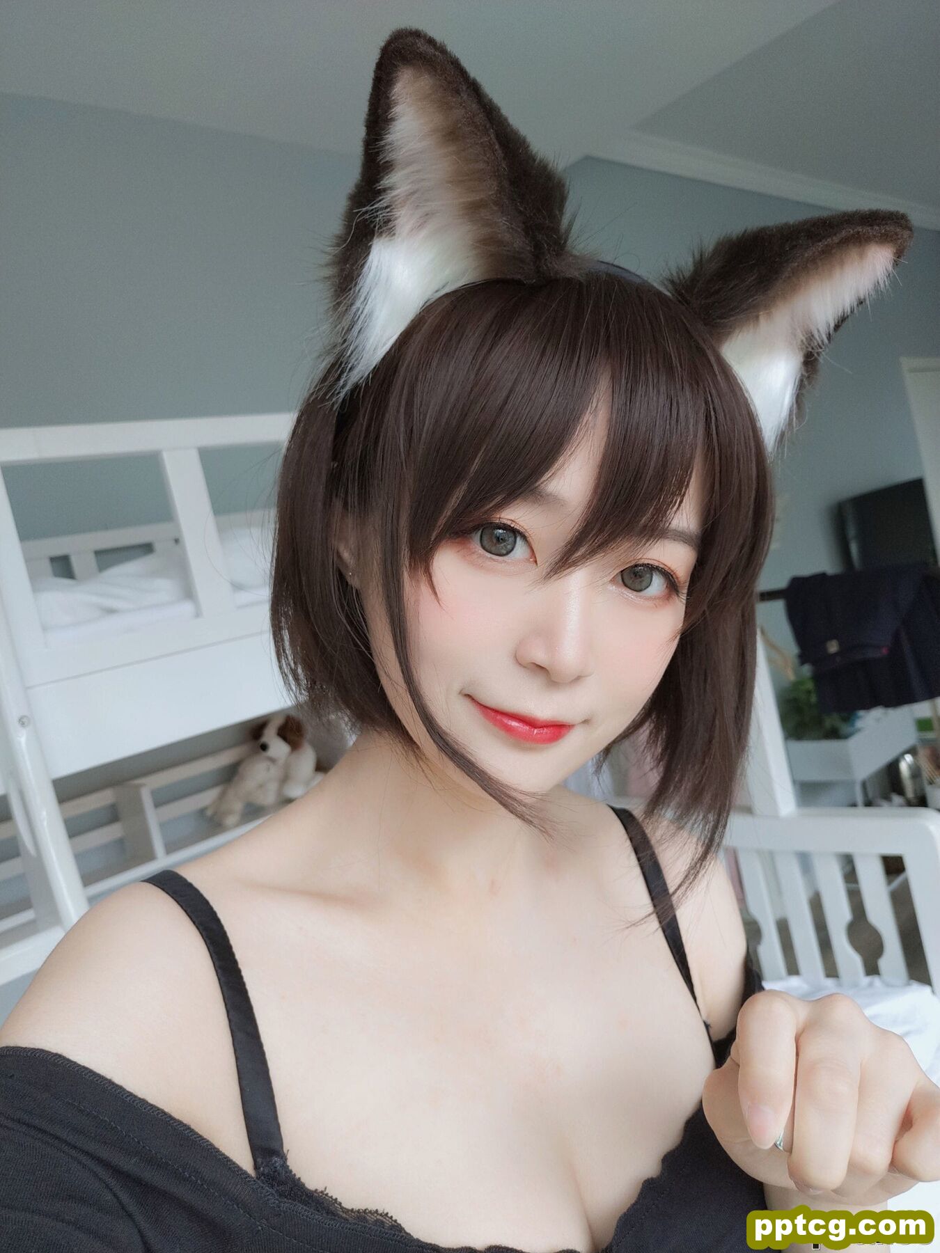 COSER白银81《布偶猫》 [COSPLAY少女] 写真集