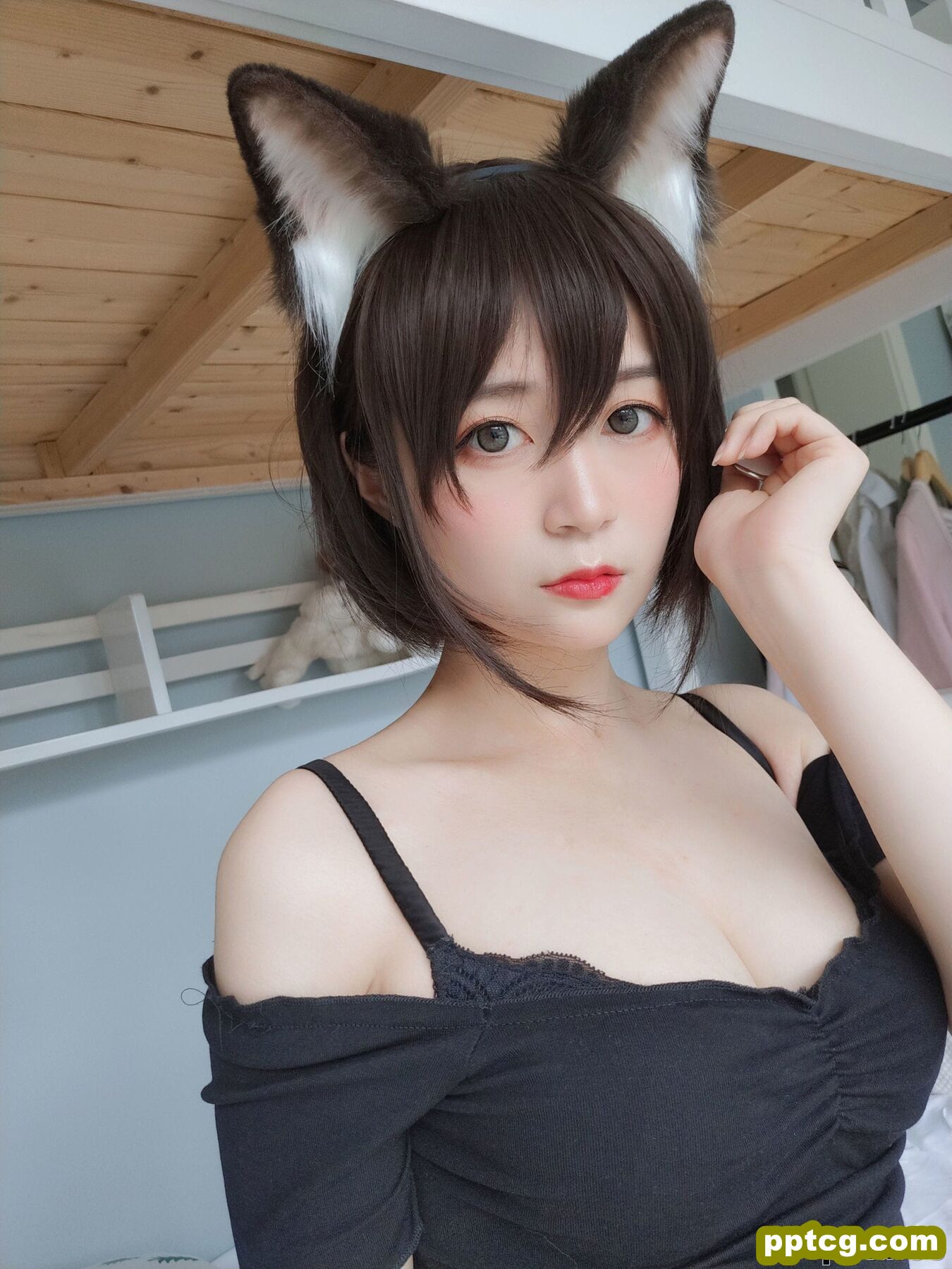 COSER白银81《布偶猫》 [COSPLAY少女] 写真集