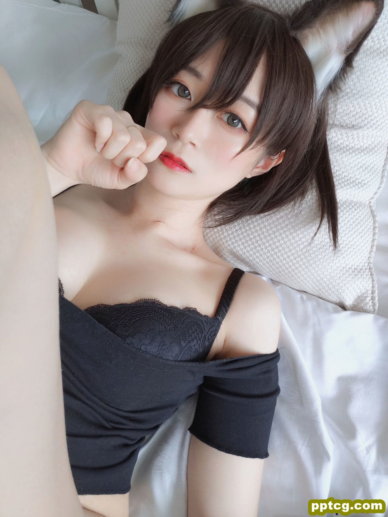 COSER白银81《布偶猫》 [COSPLAY少女] 写真集