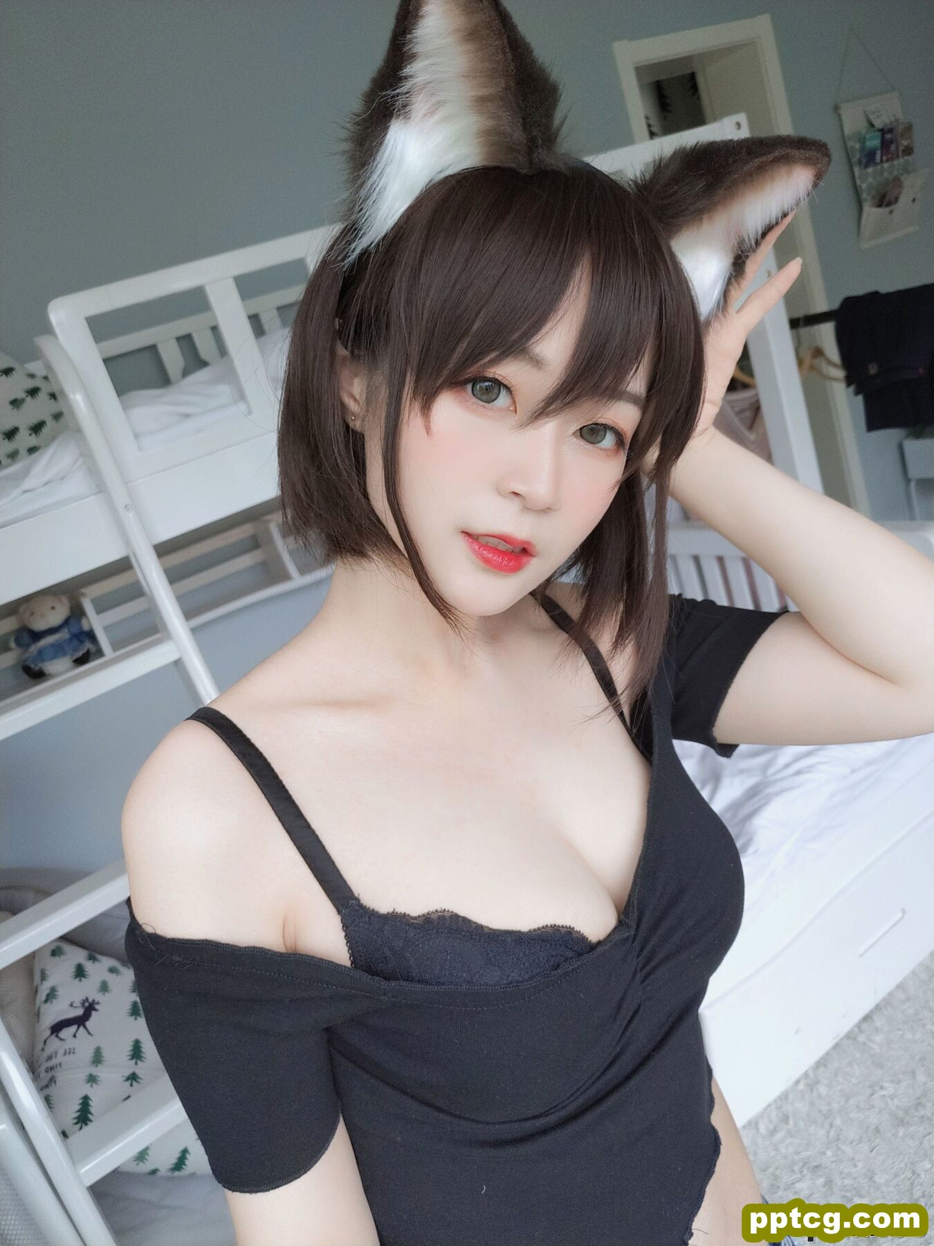 COSER白银81《布偶猫》 [COSPLAY少女] 写真集