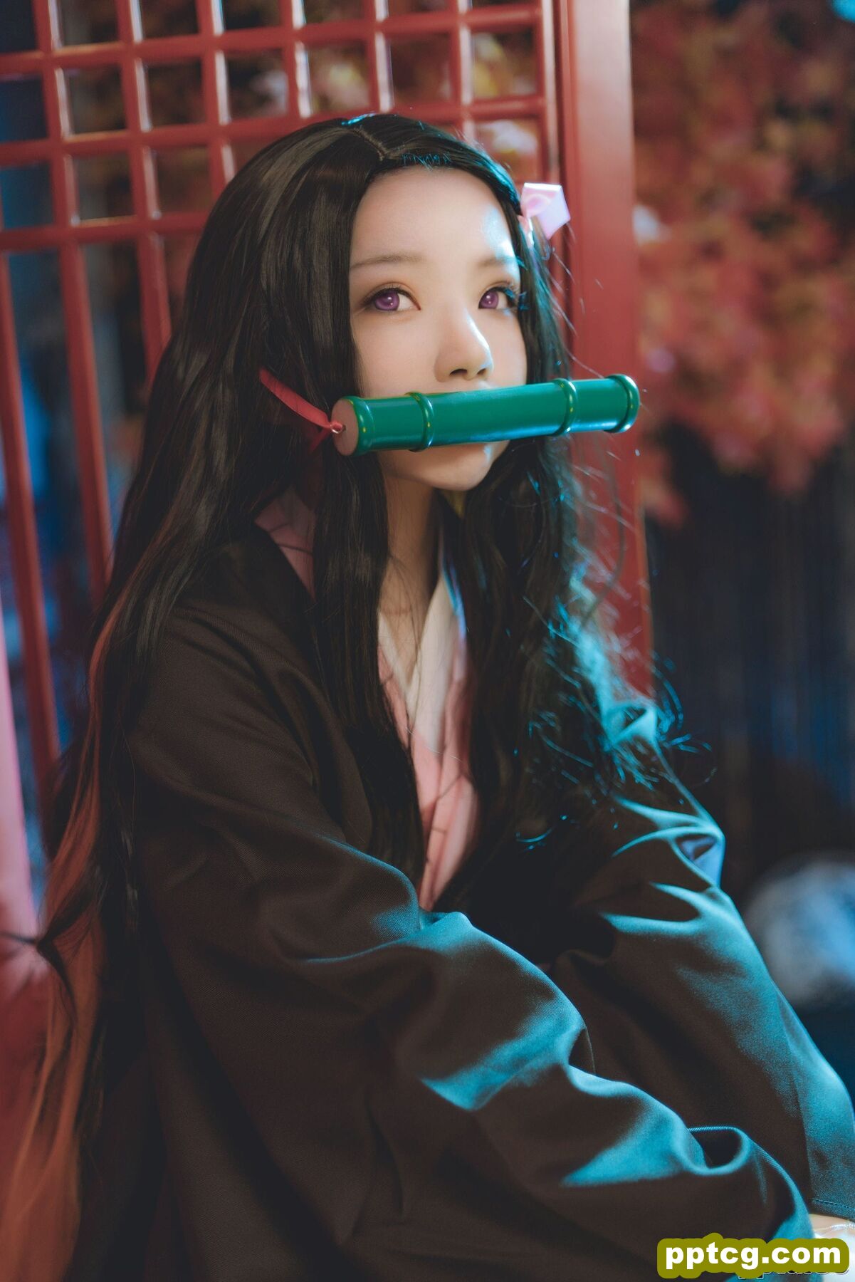 桜桃喵《灶门祢豆子》 [萝莉COS] 写真集