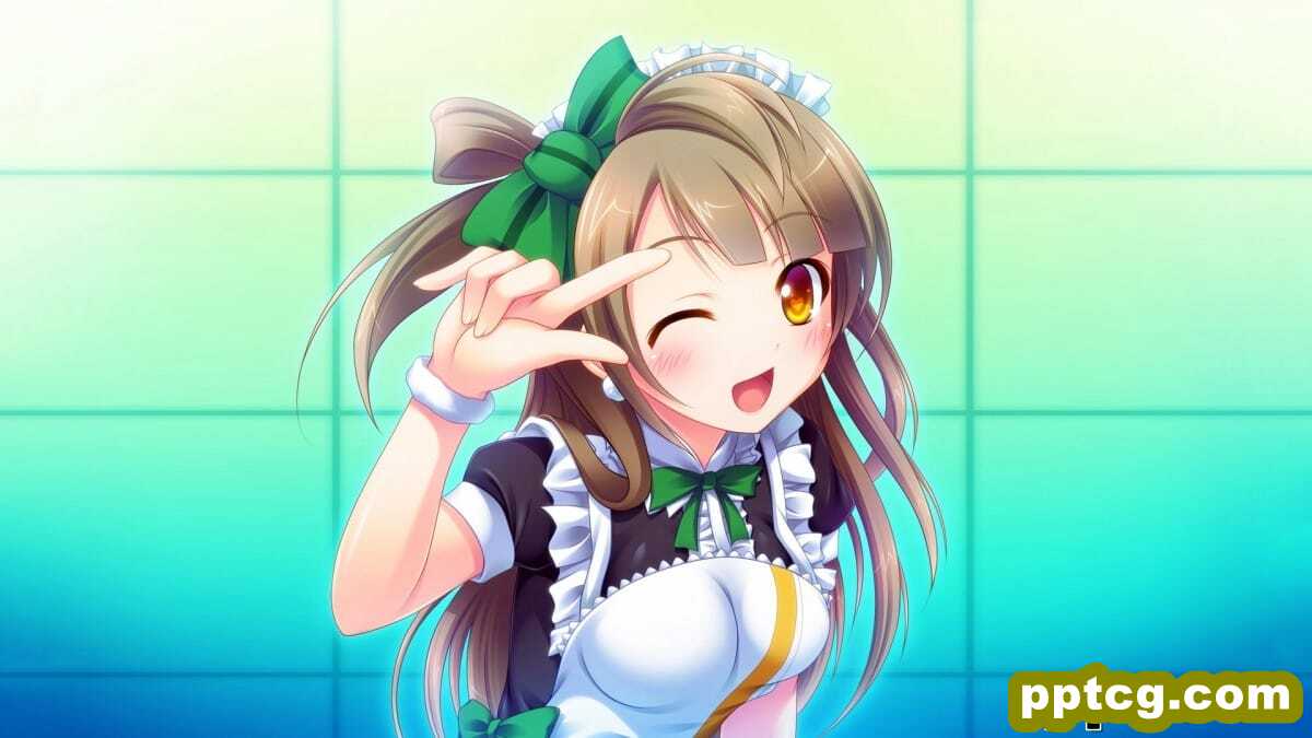 Love Live!萌系动漫壁纸-皮皮兔动漫