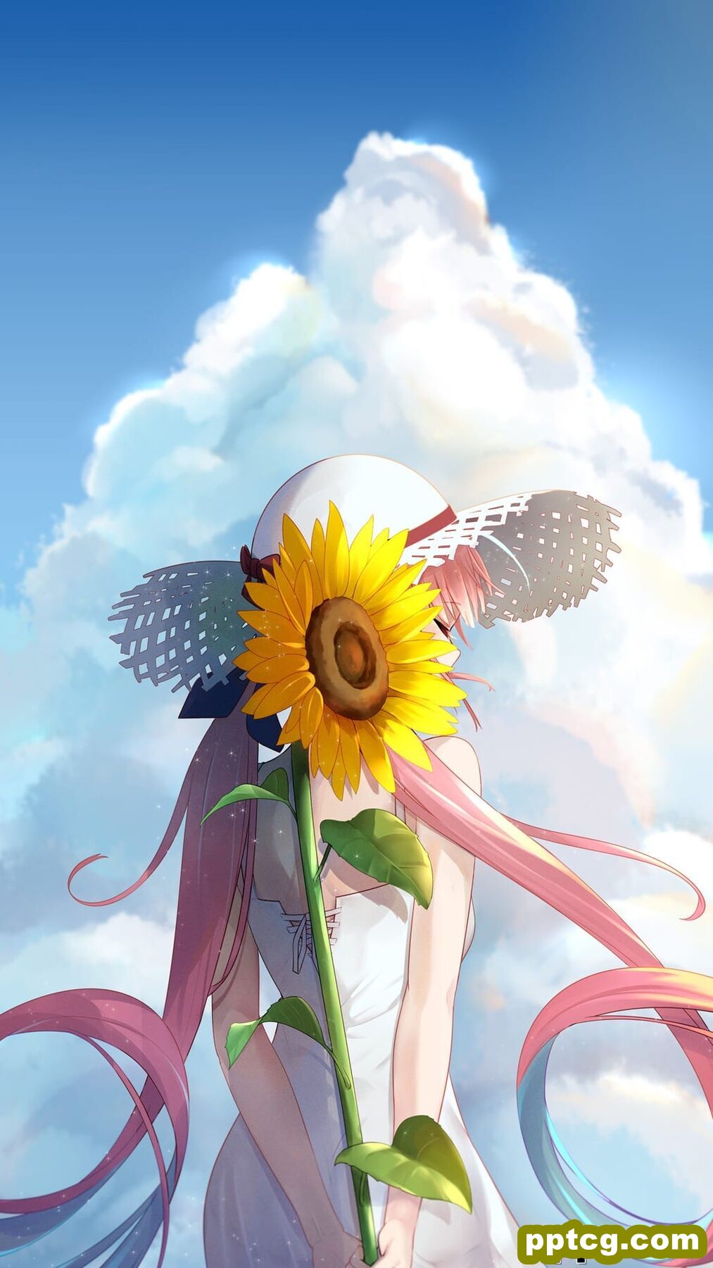 二次元动漫原画美女手机壁纸