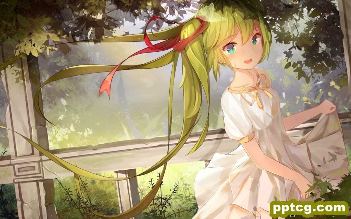 二次元美女图