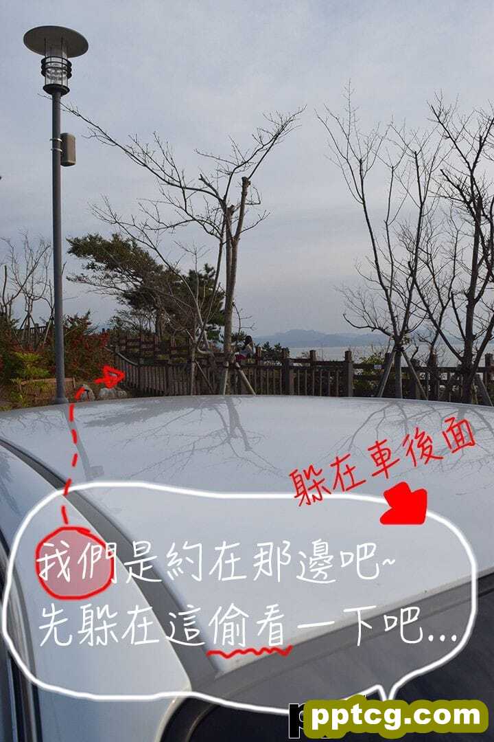 约炮APP1