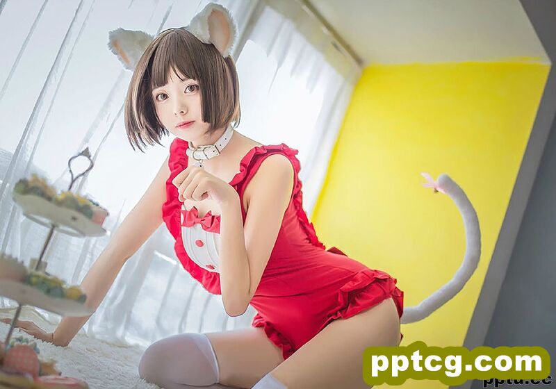 小野妹子w《猫系泳衣+魔法少女伊莉雅》 [COSPLAY美女] 写真集