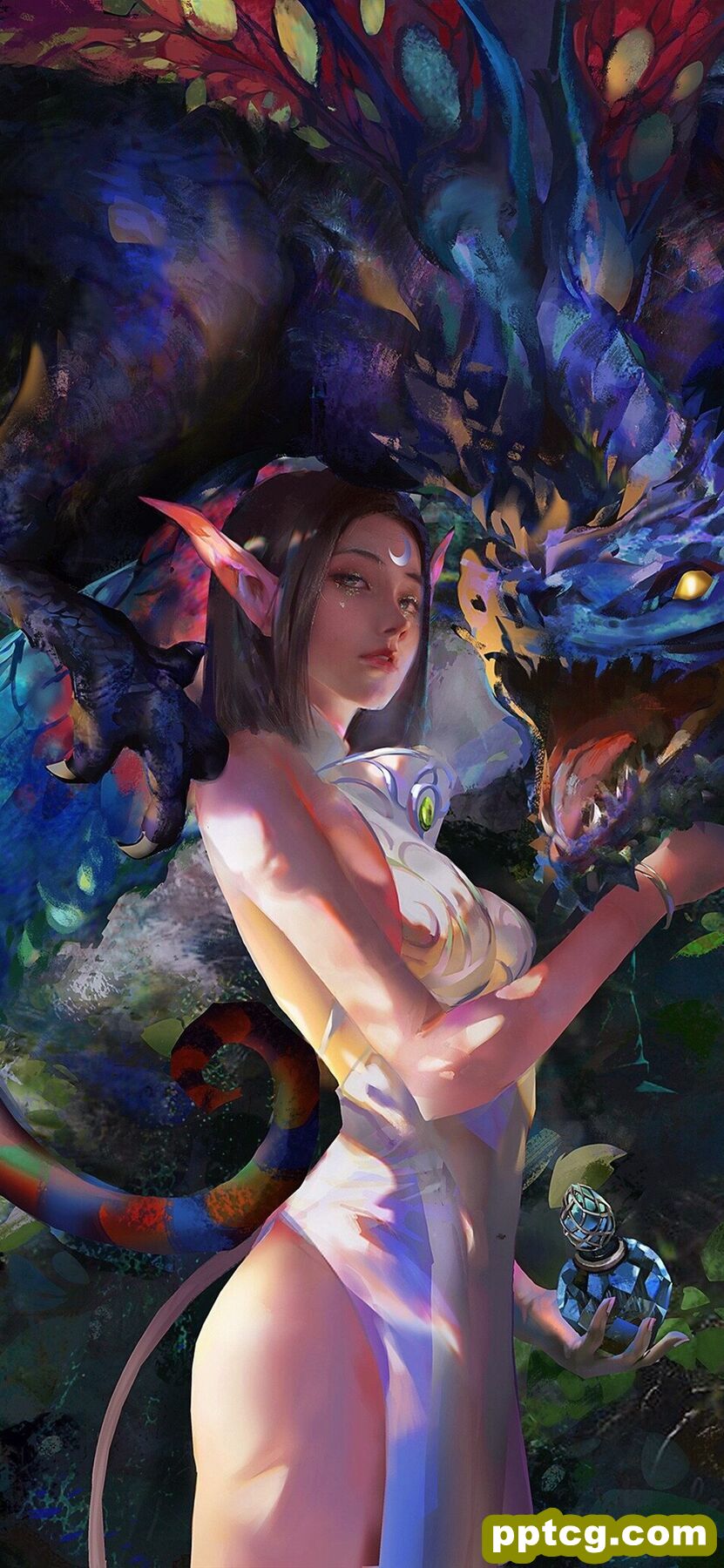 创意插画美女长耳精灵与他的龙手绘动漫手机壁纸-皮皮兔动漫