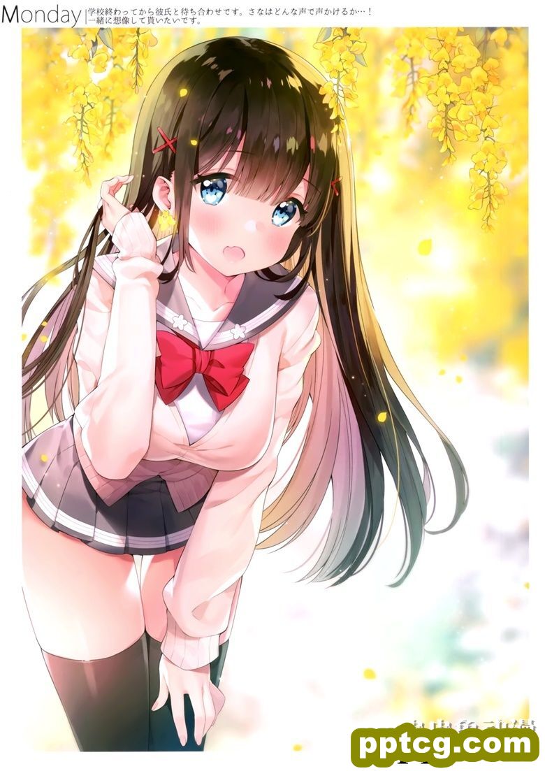 (C95) [ハチゴ (あやみ)] ぼくの彼女 vol.2
