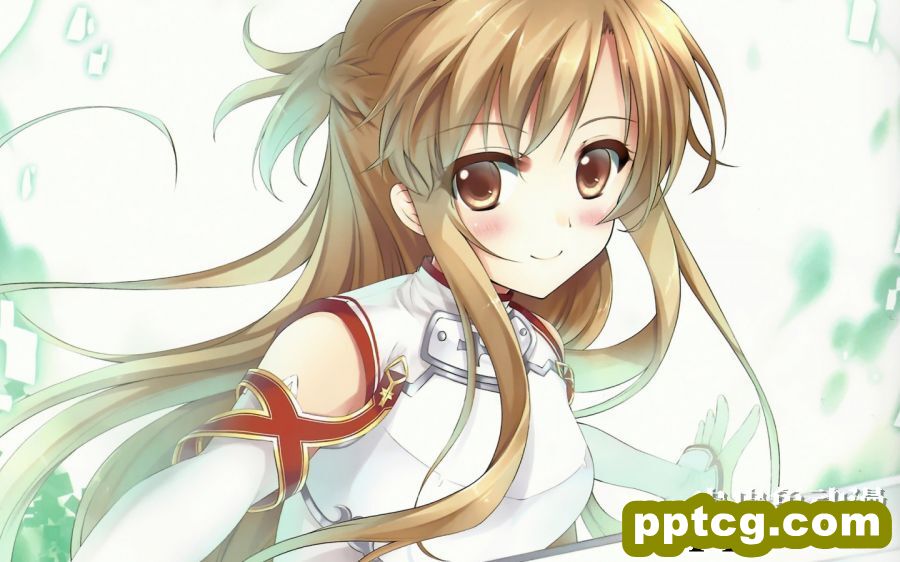轻小说《刀剑神域》最性感的动漫美女结城明日奈