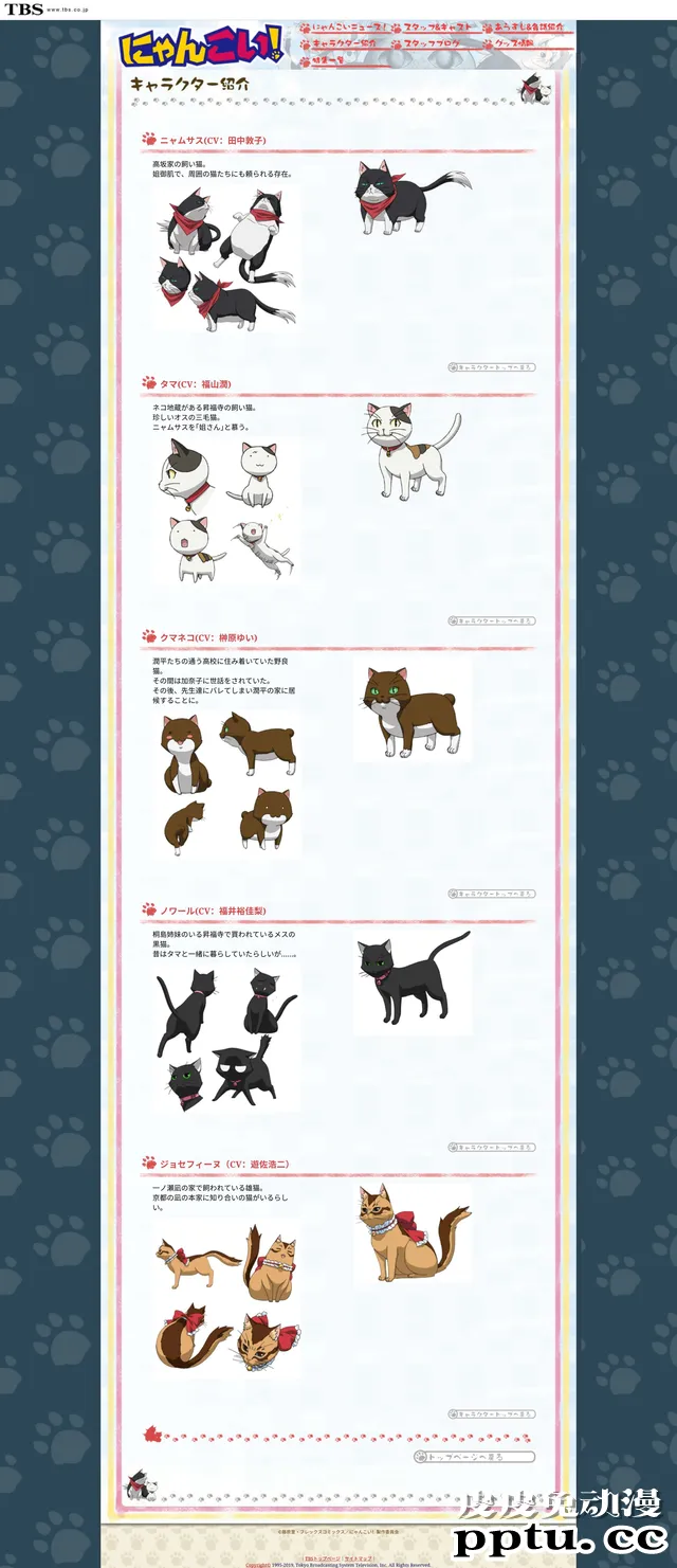 “有生之年”系列—「猫愿三角恋」