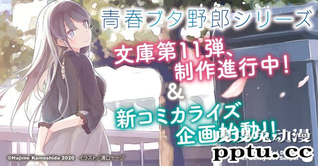 「青春猪头少年不会梦到理性小魔女」漫画8月1日开始连载-皮皮兔动漫