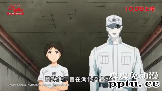 「工作细胞」特别上映版即将登陆台湾地区