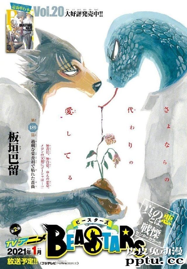漫画「动物狂想曲(BEASTARS)」最新话彩图公开-皮皮兔动漫