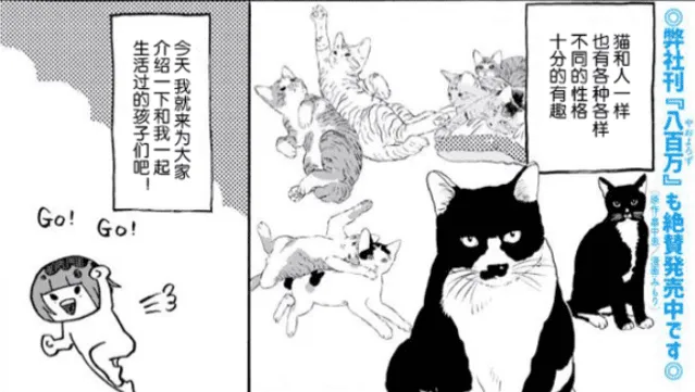 みもり治愈小短篇「猫咪超可爱!!」-皮皮兔动漫