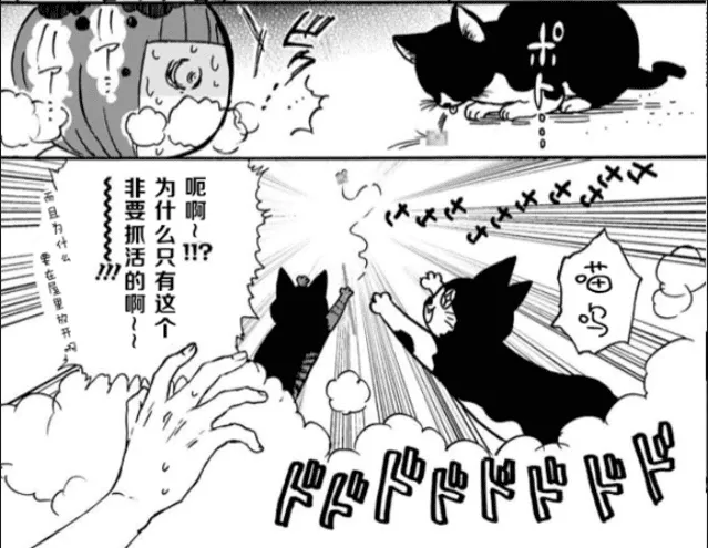 みもり治愈小短篇「猫咪超可爱!!」