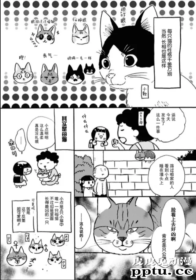 みもり治愈小短篇「猫咪超可爱!!」