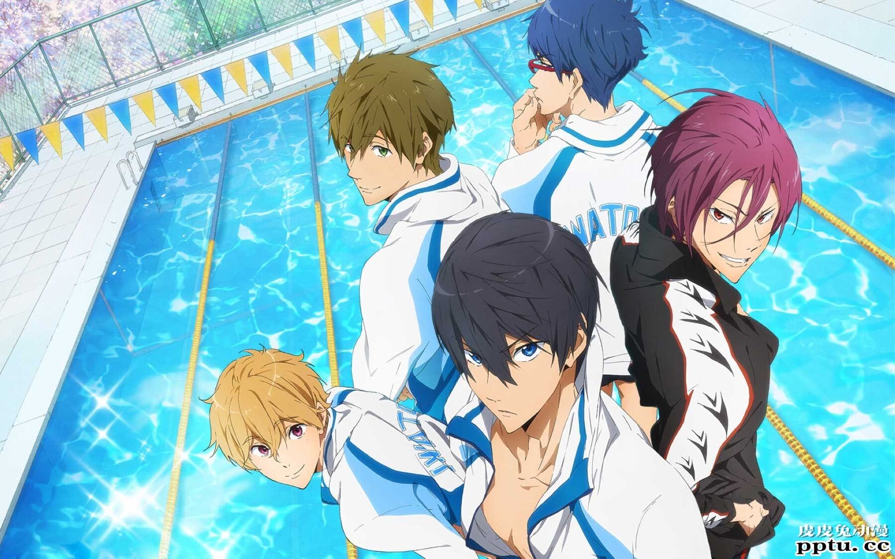 《free!》男子游泳部动漫图片分享-皮皮兔动漫