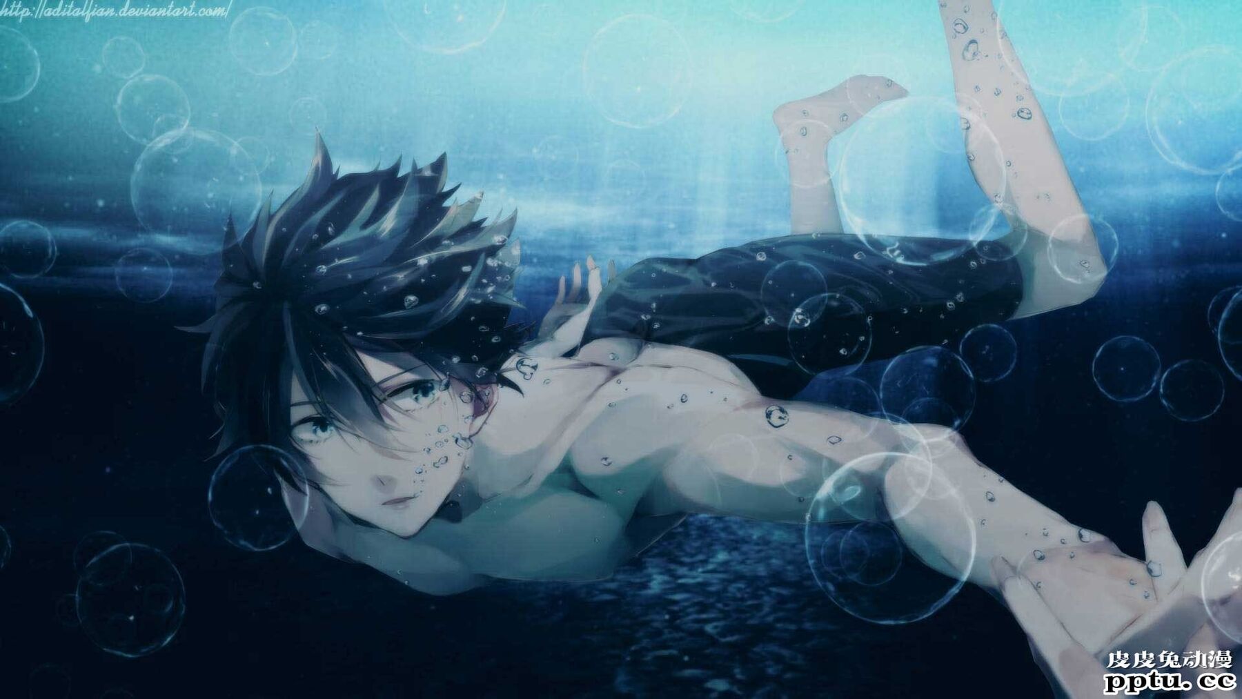 《free!》男子游泳部动漫图片分享
