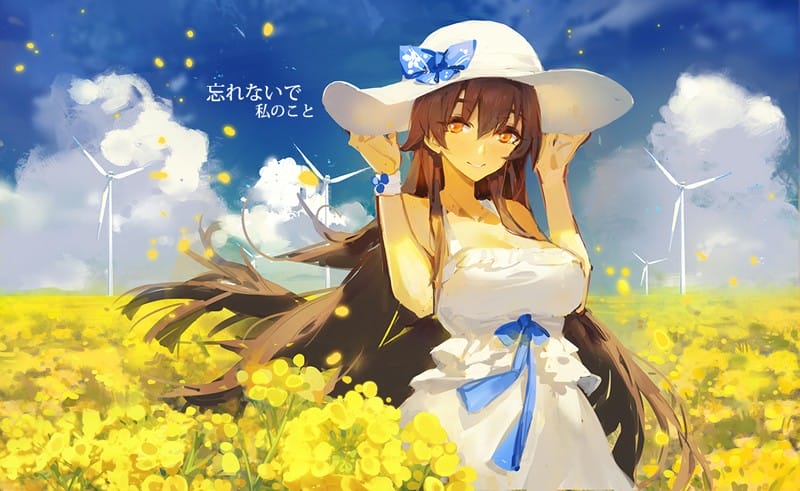 P站精选美图合集——清凉夏日第二弹