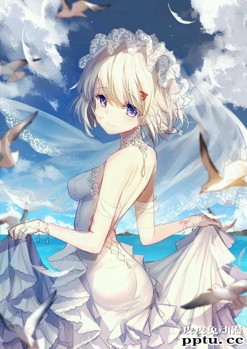 动漫插画海鸥