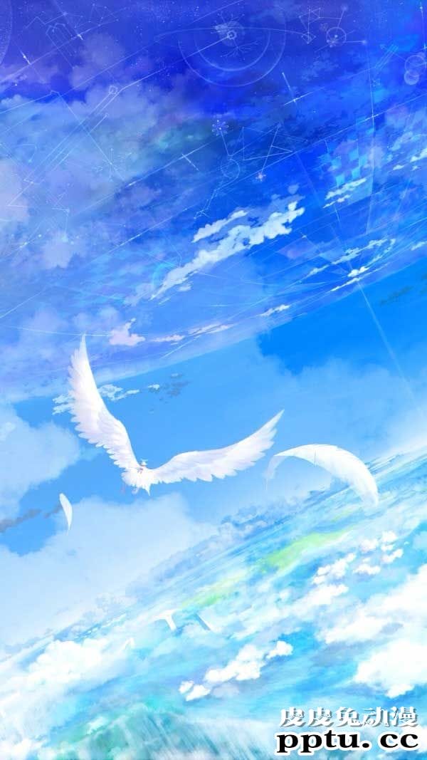 动漫插画海鸥
