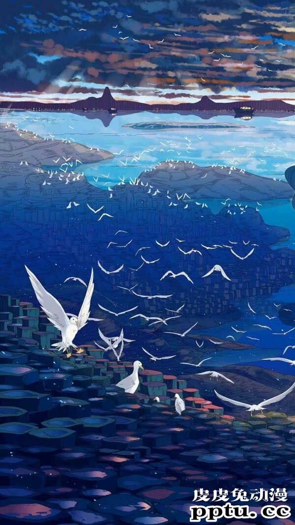 动漫插画海鸥