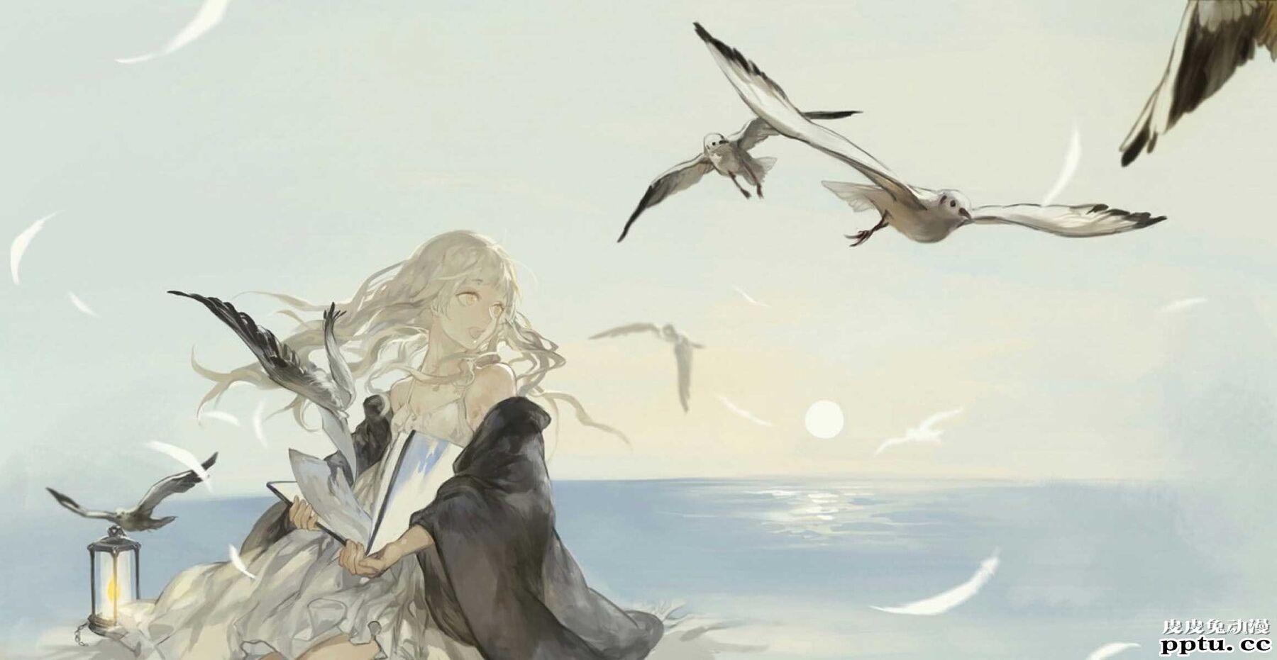 动漫插画海鸥