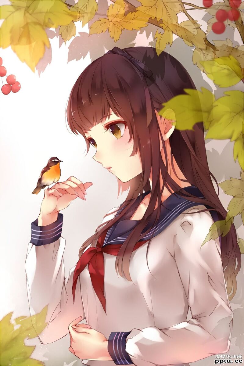 【P站精选】绝园的暴风雨《不破爱花》高清壁纸特辑!-一起萌 绝园的暴风雨《不破爱花》高清壁纸特辑!