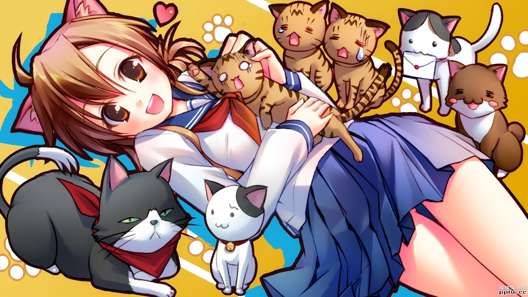 猫系后宫《猫愿三角恋》高清壁纸特辑！