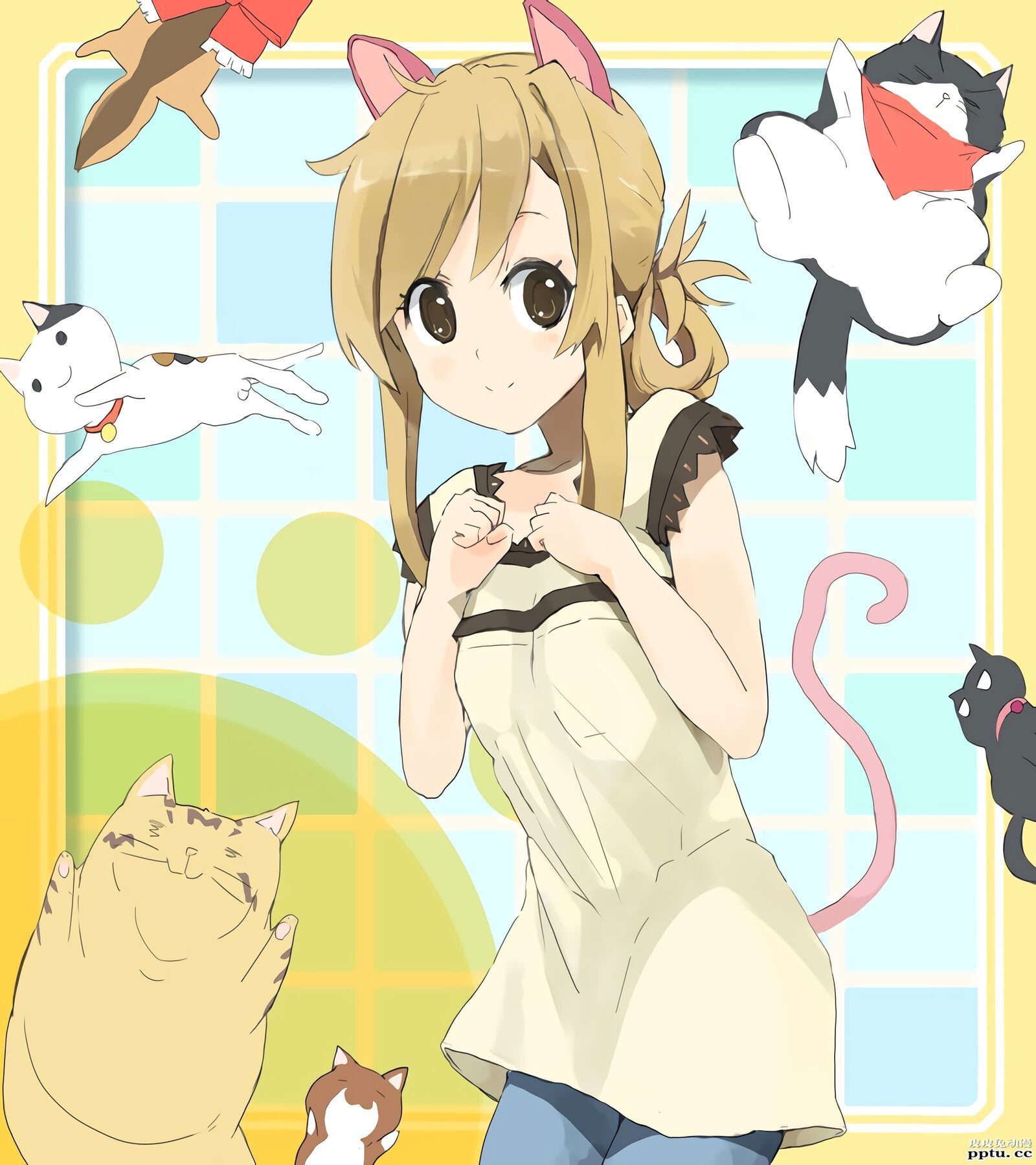 猫系后宫《猫愿三角恋》高清壁纸特辑！