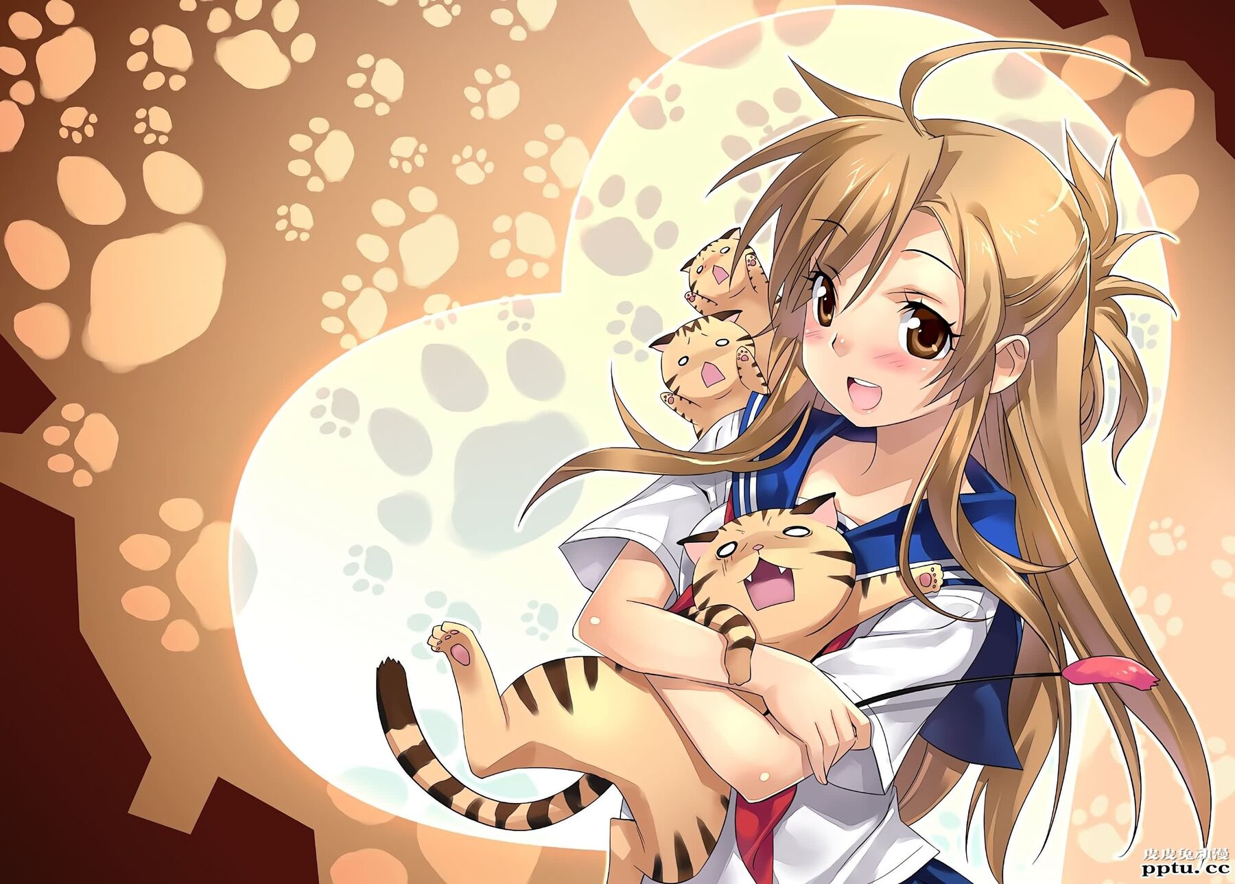 猫系后宫《猫愿三角恋》高清壁纸特辑！