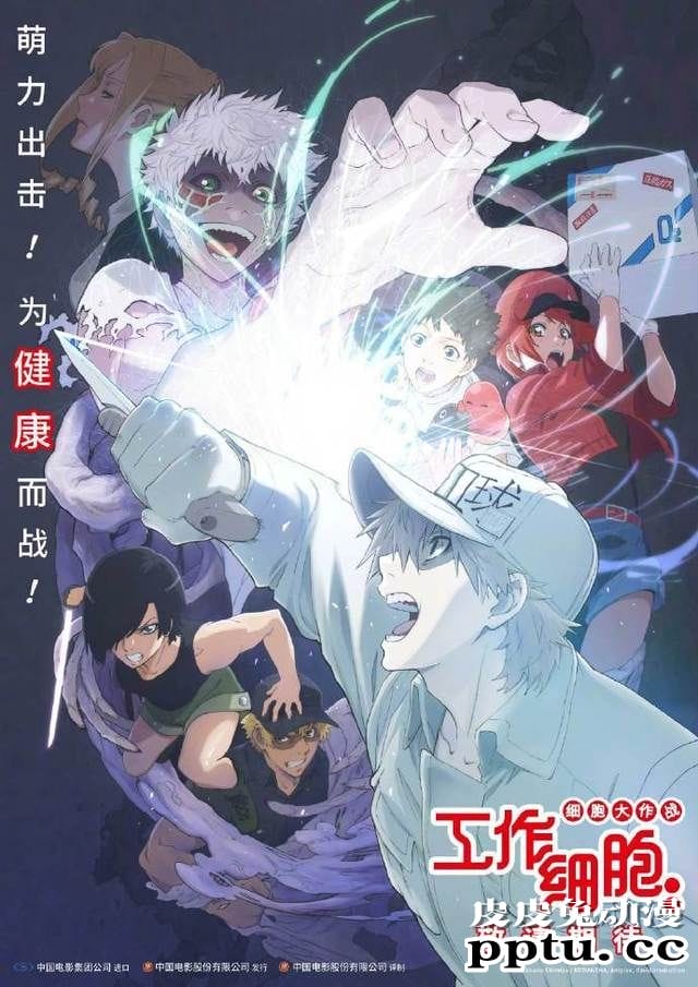 「工作细胞:细胞大作战」确认引进-皮皮兔动漫