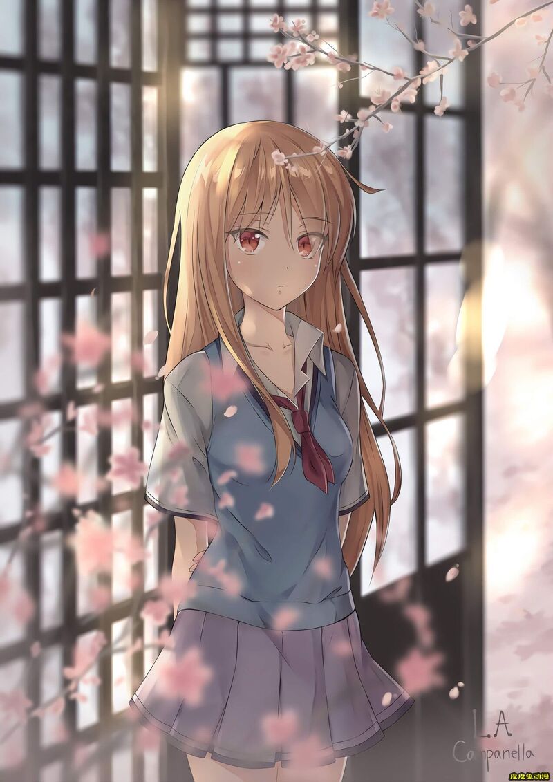 樱花庄的宠物女孩《椎名真白》高清壁纸特辑！