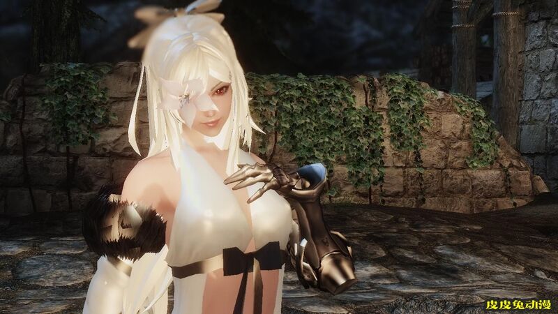 [中文] [3D全彩]高清绝美MOD图上古卷轴5天际part.1-2[49P]