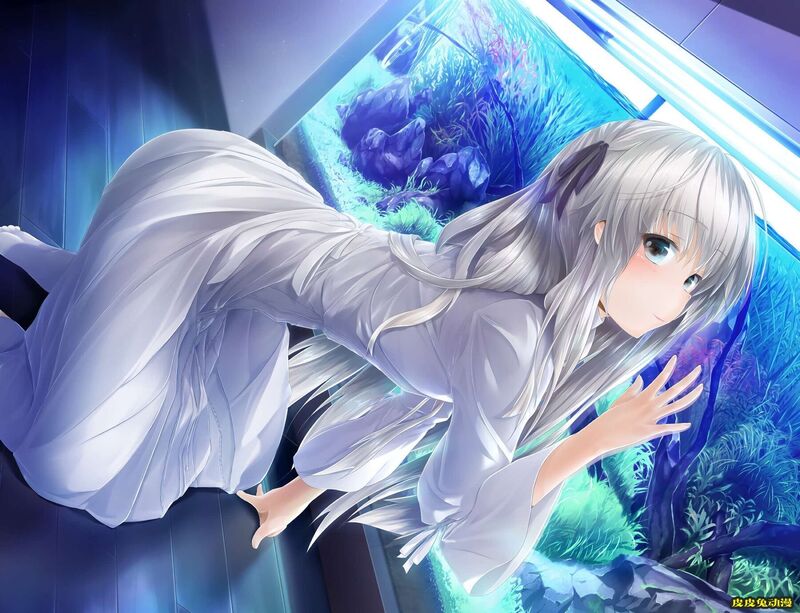 【P站精选】缘之空《春日野穹》高清壁纸特辑!-一起萌 缘之空《春日野穹》高清壁纸特辑!