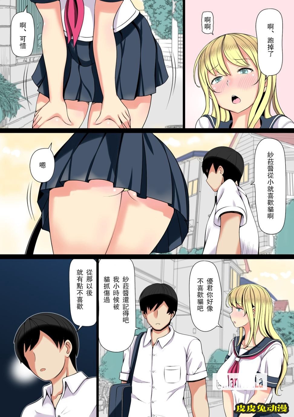 巨乳發情母猫