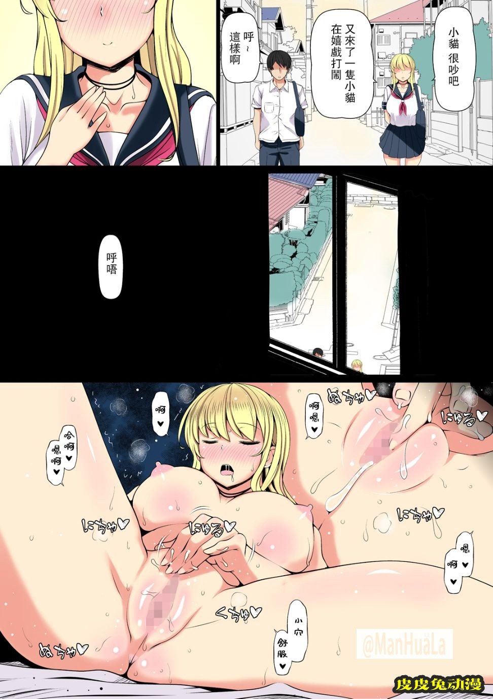 巨乳發情母猫