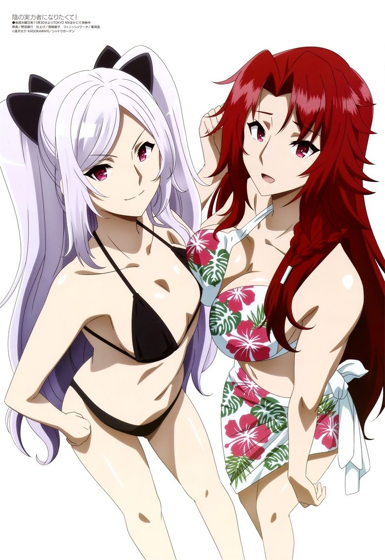 [megami] 2023年1月号图集 动画官方绘