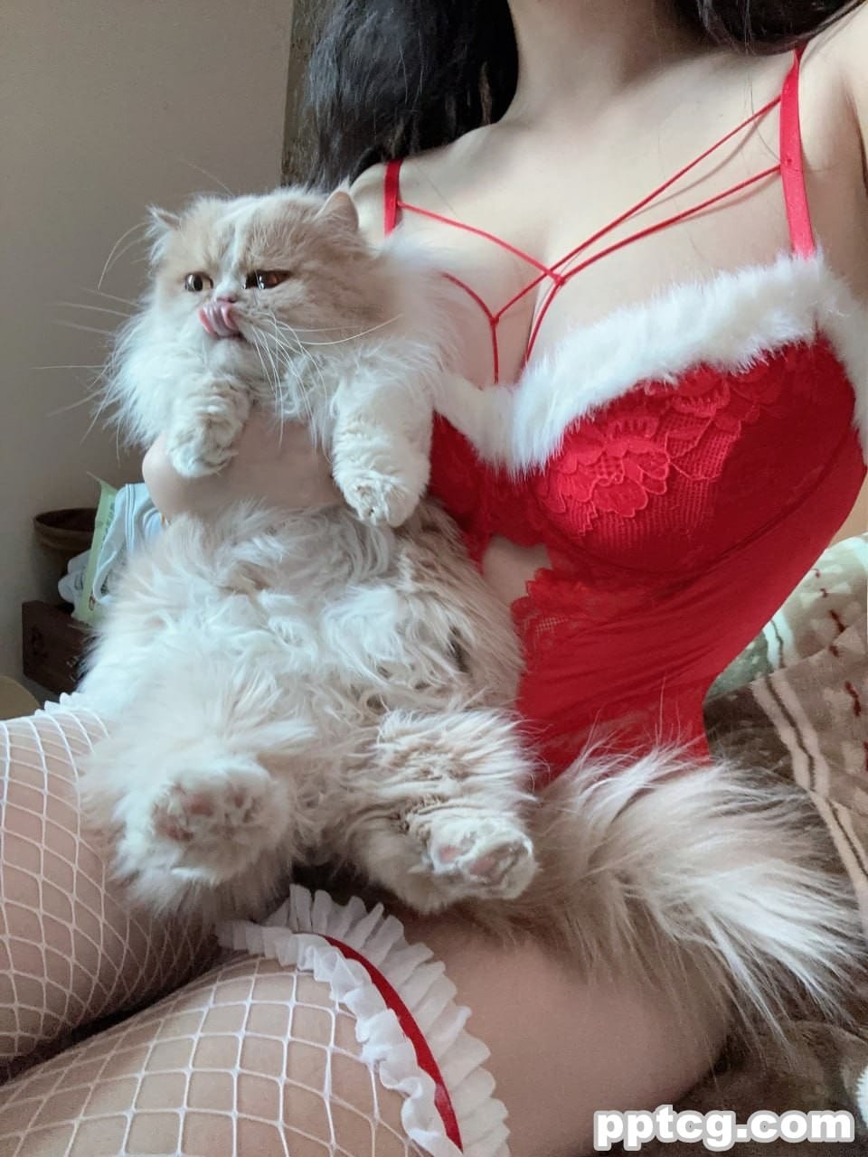 前羽   圣诞礼包