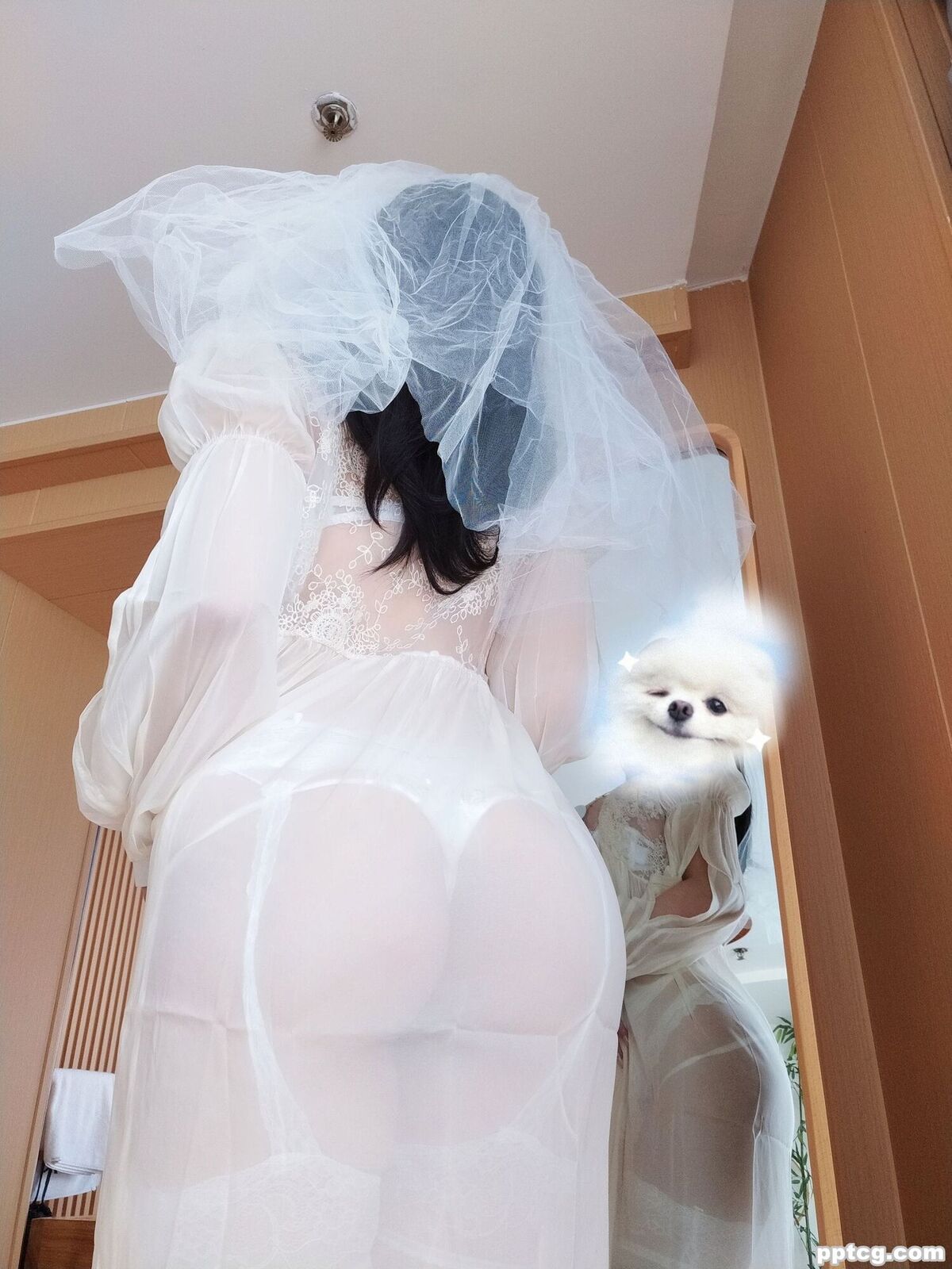 女主K 白双子-奈奈COS 女主K 白双子