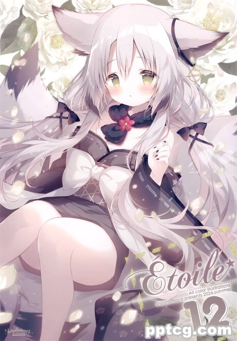 (C104) [しらたまこ (しらたま)] Étoile 12 (オリジナル)-皮皮兔动漫