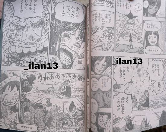 《海贼王》1133话情报:泪崩!罗宾与萨乌罗重逢