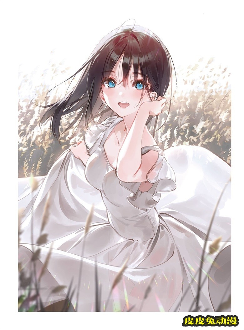 (画集) Dear Smile DSマイル画集