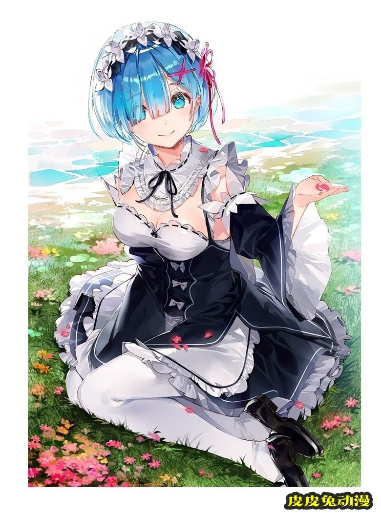 (画集) Dear Smile DSマイル画集