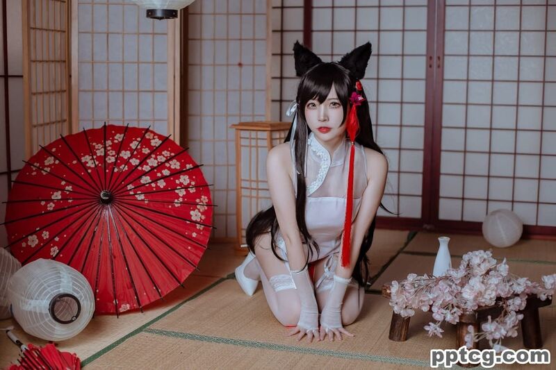 二佐 犬之眷 碧蓝航线 爱宕 旗袍-奈奈COS 二佐 犬之眷 碧蓝航线 爱宕 旗袍
