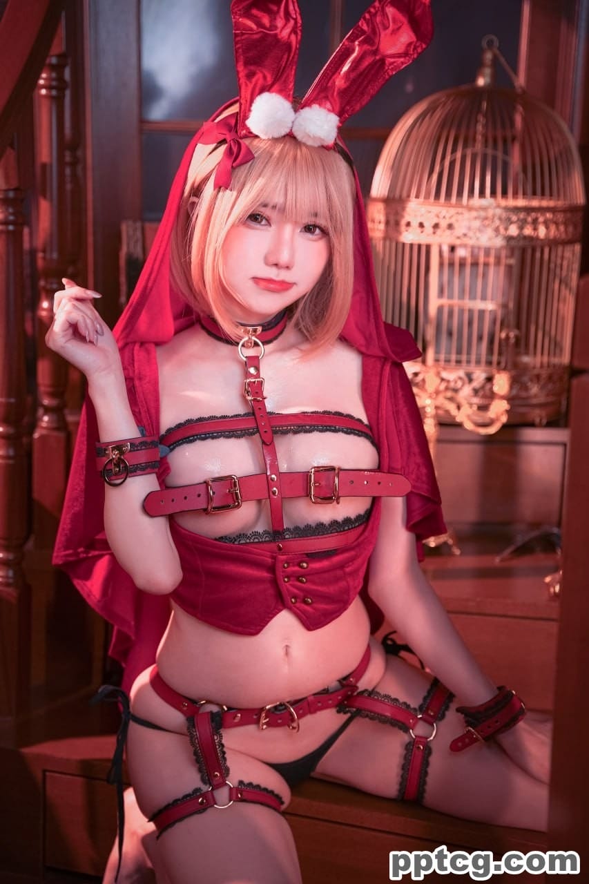 Sally Dorasnow  小红帽  Red Riding Hood