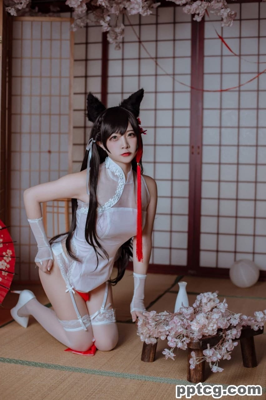 二佐Nisa   犬之眷 碧蓝航线 爱宕 旗袍